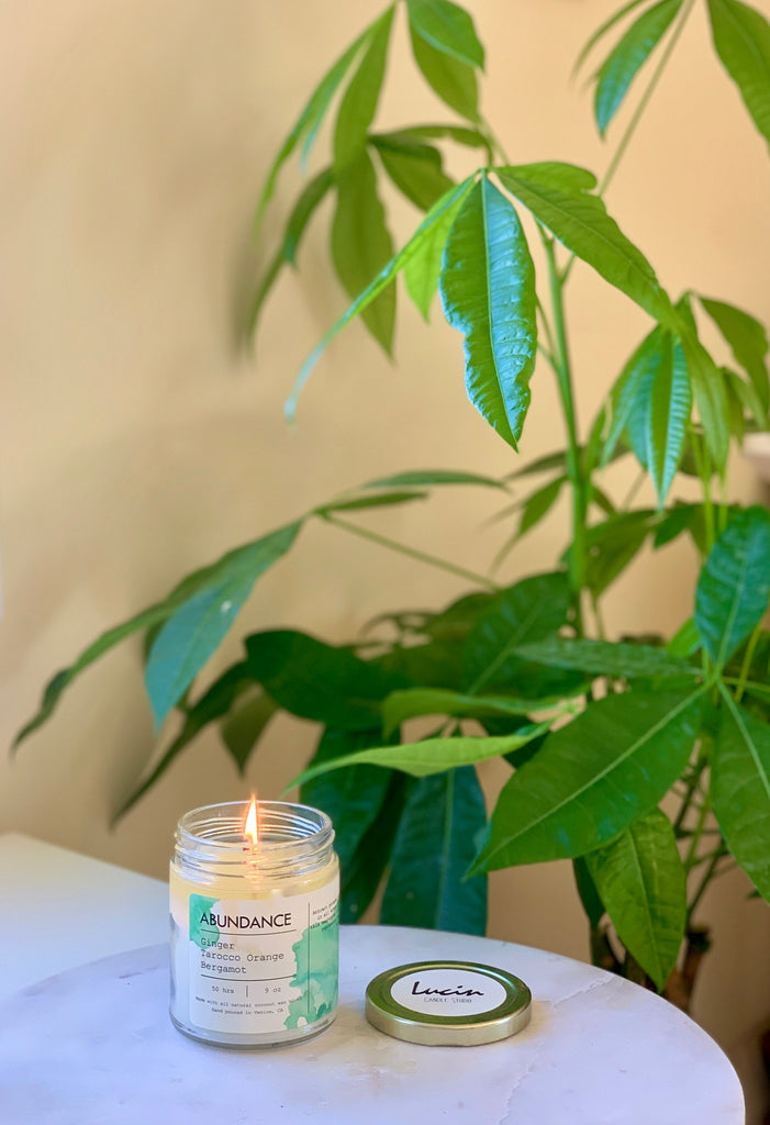 Intention Spotlight: ABUNDANCE