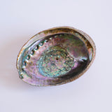 Abalone Smudge Shell