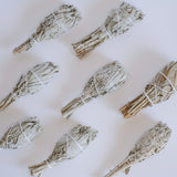 White Sage Bundle